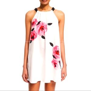 NWT Kate Spade Paloma Beach Bay of Roses Coverup Dress XS-S